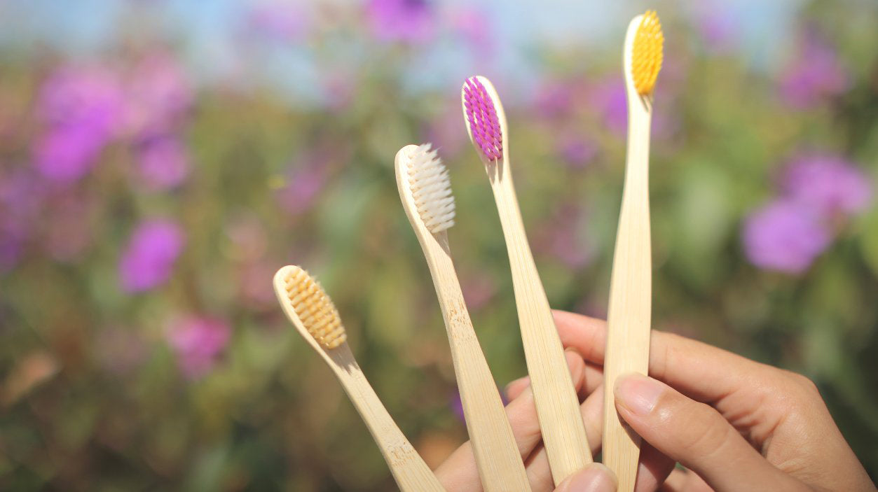 Escovas de dente de Bambu  Ecológicas 50 unidades