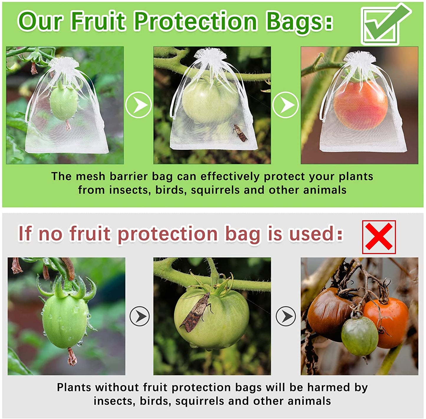 Saquinho para proteger frutas no pé, horta, pomar e jardim