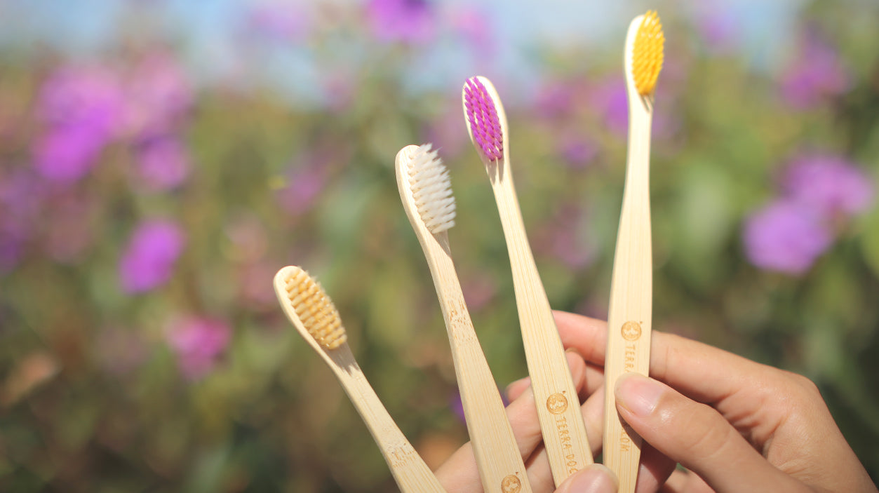 Escova de Dentes de Bambu Infantil 10 Unidades
