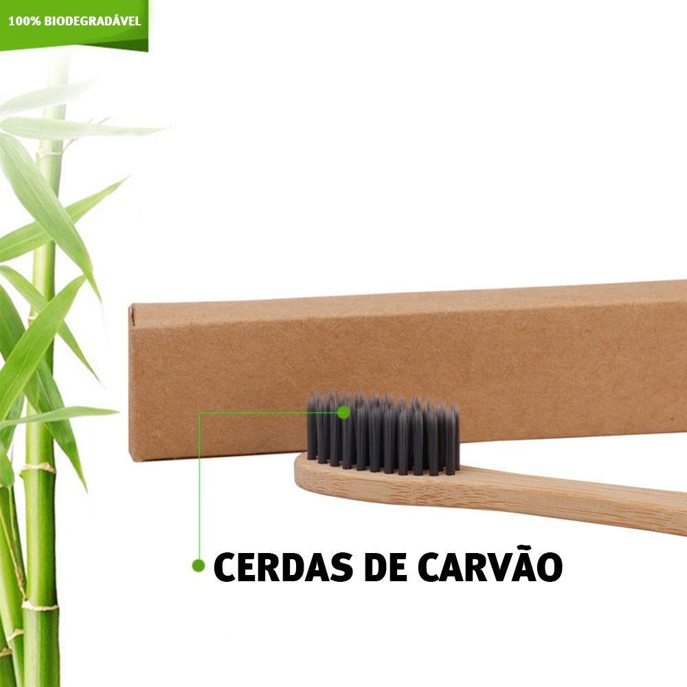Escova de Dente de Bambu Kit Frete Grátis