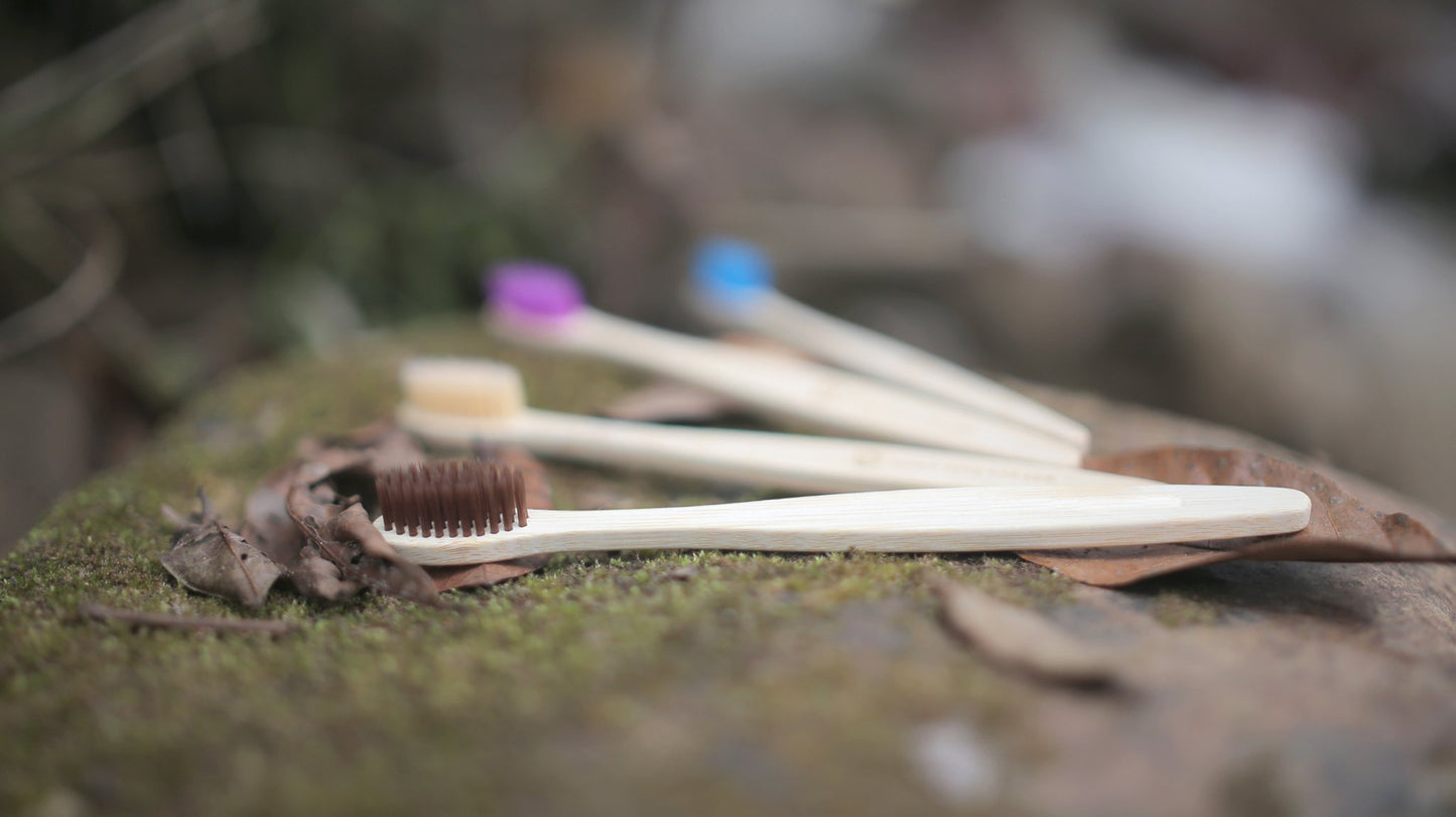 Escovas de dente de Bambu  Ecológicas 50 unidades